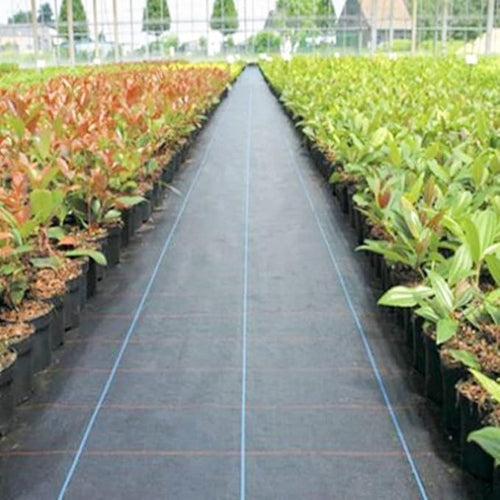 100m 90GSM Farm Greenhouse Gardening Ground Fabric Vegetable Fruit Garden Grass Weed Mat Weed Landscape Fabric Heavy Duty Cover (Size : 0.6m x 100m)