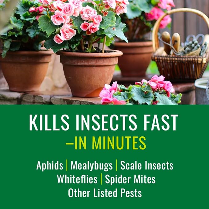 Natria Houseplant Insect Killer Ready-to-Use 24 oz