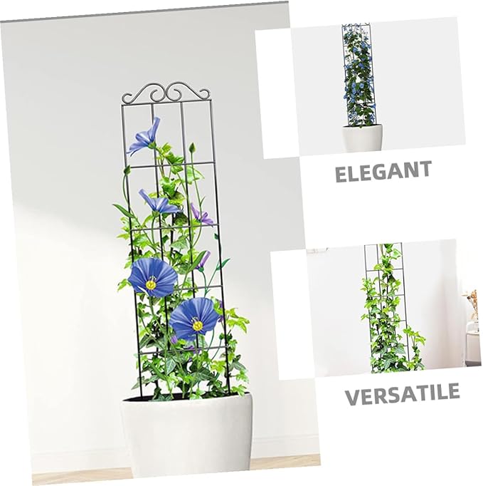 Operitacx 4pcs Metal Garden Trellis Plant Climbing Rack Support Frame for Potted Vines Indoor Outdoor Plant Climbing Holder 50x15cm Black