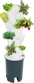 20 Growing Grooves Hydroponic Growing Kit Hydroponic Growing Tower Set Vertical Vegetable Plant Tower Self-Watering Garden Planter Tower (20 Growing Grooves)