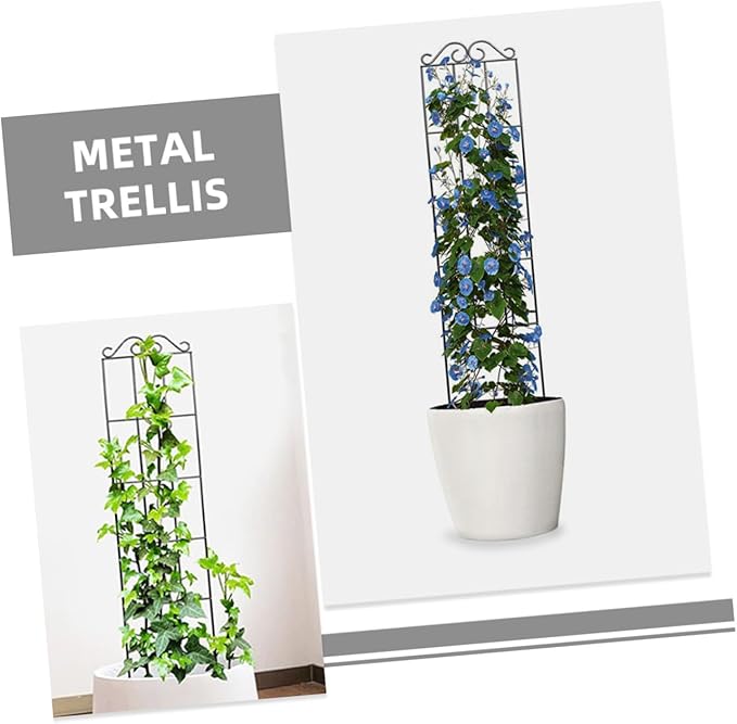 4pcs Metal Plant Support Frame Climbing Trellis for Garden and Potted Vines 50x15cm Black Vegetable and Flower Climbing Bracket for Home and Greenhouse Use