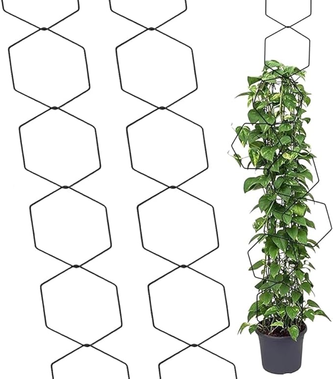 7PCS Chain Trellis for Climbing Plants - Indoor &amp Outdoor House Plant Accessories for Monstera Pothos Ivy and More | Garden Wall TrellisPlant Vine SupportHouseplant Accessories(Black)