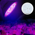150LED 100W E27 Plant Grow Light Lamp High Efficiency Growth for Greenhouse Hydroponic Plants