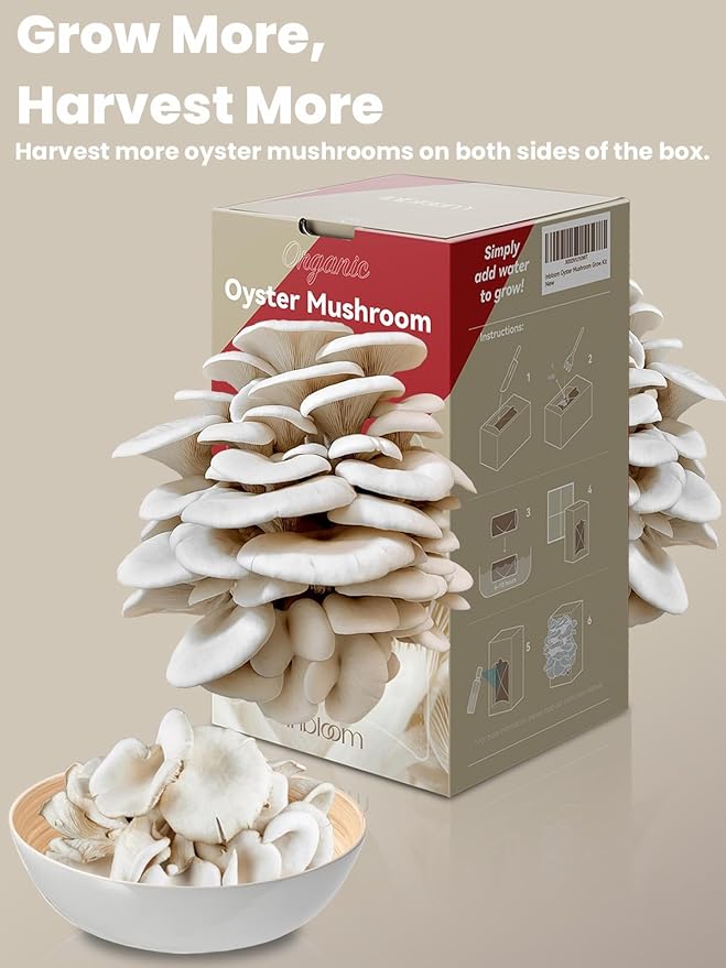 inbloom Organic Oyster Mushroom Growing Kit with Spray Harvest Fresh Mushrooms at Home Beginner Friendly &amp Easy to Use Unique Gardening Gift for Holiday Handmade in New Jersey USA