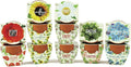 BUZZY Seeds Mini Terracotta Pots 12-Pack with Plant Seeds Poppy Sunflower Daisy Cactus and Forget Me Not All-in-One Seed Starter Kit Indoor Outdoor Gardening Gift Wedding Favors Mother's Day