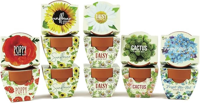 BUZZY Seeds Mini Terracotta Pots 12-Pack with Plant Seeds Poppy Sunflower Daisy Cactus and Forget Me Not All-in-One Seed Starter Kit Indoor Outdoor Gardening Gift Wedding Favors Mother's Day