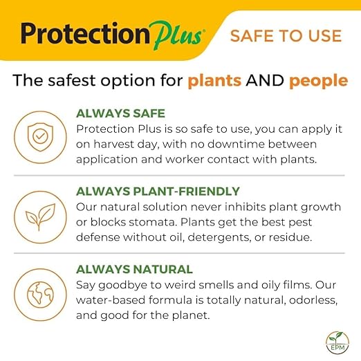 Environmental Plant Management Protection Plus Ready To Use | Oil-Free Contact Insecticide for Plants | Kill Aphids Whiteflies Spider Mites &amp Other Soft-Bodied Pests | Natural | Indoor &amp Out