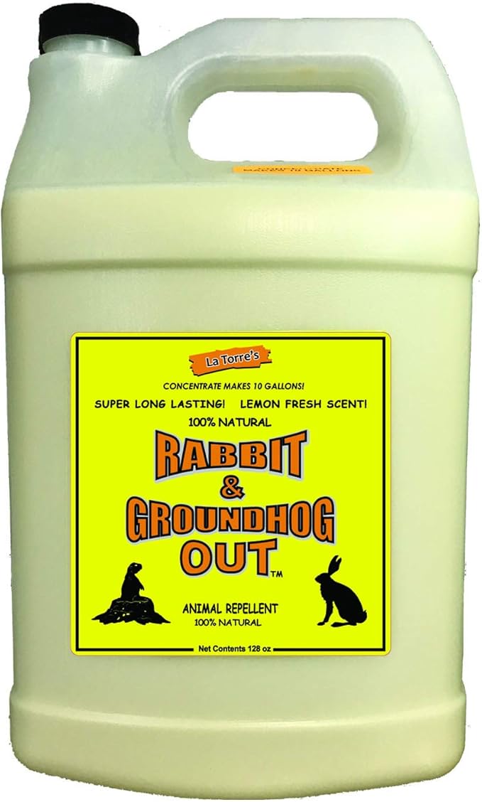 Rabbit &amp Groundhog Repellent: Rabbit Out 1 Gallon Concentrate