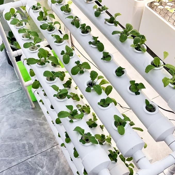 Hydroponics Growing SystemHydroponics System Hydroponic Garden Large Ideal for Planting Lettuce Celery Beets Strawberries... Growing System Indoor Garden GYL24824