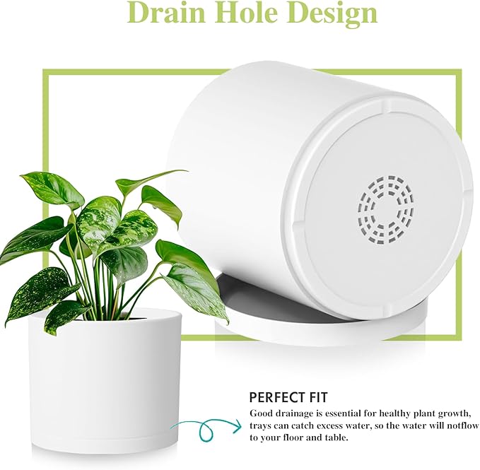 Large Plant Pots Set of 3 – 8 9 10 Indoor Flower Pots with Drainage Holes and Saucers Big Planters for Monstera Fiddle Leaf Fig Snake Plant – 5 Colors