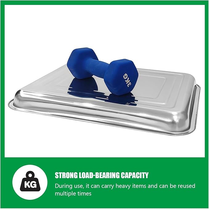 10 Pack Large Stainless Steel Seedling Trays Heavy Duty Metal Water Catch Trays for Nursery Pots Transplant Seed Germination &amp Propagation Flats (17.5 inch×13.56 inch 1.18 Height)