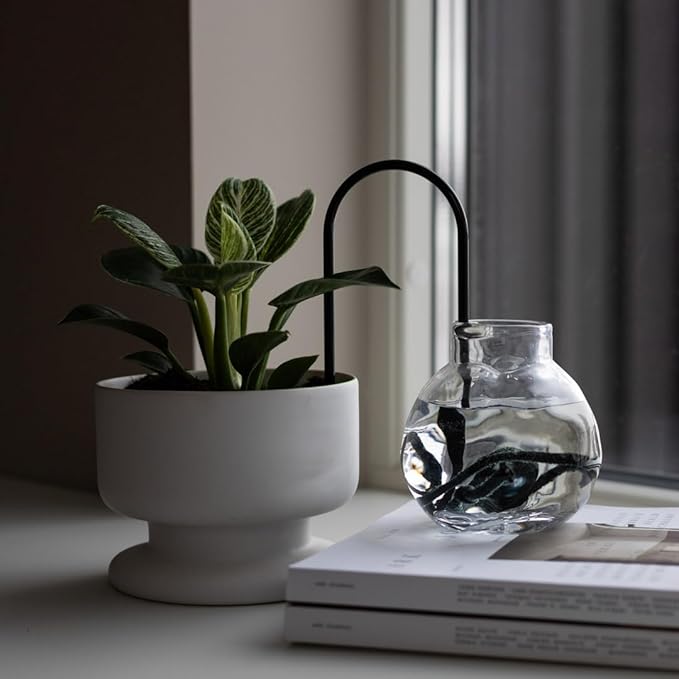 Beautiful Self-Watering Wick System for Effortless Plant Care Automatic Drip Irrigation Sustainable &amp Stylish Scandinavian Design Ideal for House Plants (S Black)