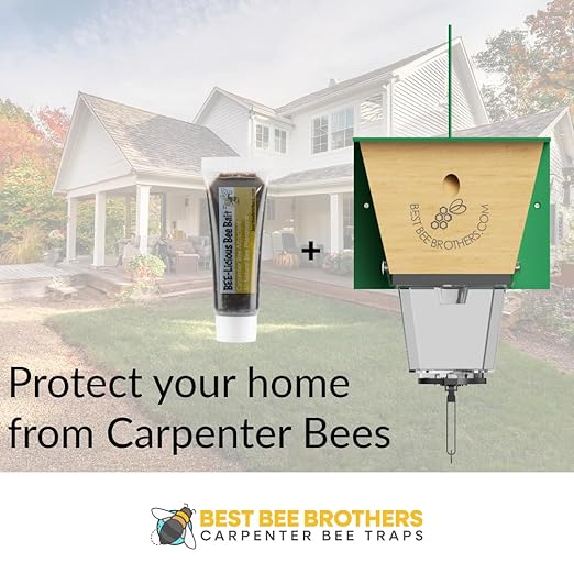Best Bee Brothers Bee-Licious Carpenter Bee Bait All-Natural Pheromone Lure 10 ml Squeeze Tube 2-Pack