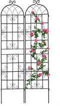 2-Pack Metal Garden Trellis for Climbing Plants - Outdoor Flower Support 19.7’’ x 86.7’’ - Expandable Flower Wall Black