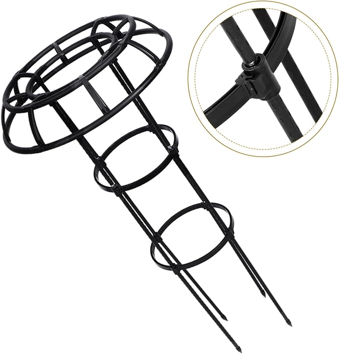 Plant Support Rack Garden Trellis for Climbing Plants Polished No Burrs