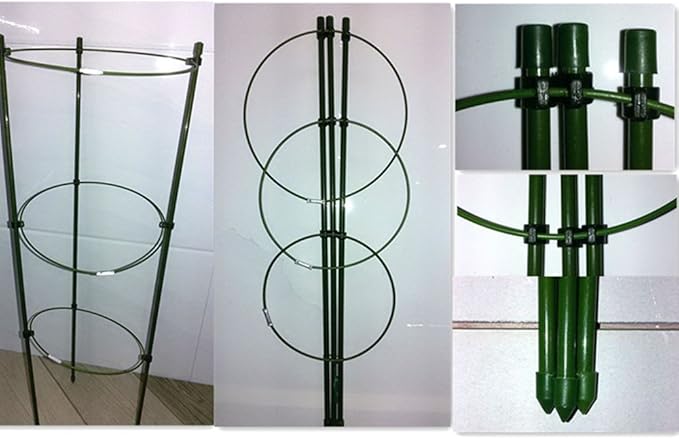 Tomato Cage Plant Support Ring Garden Trellis Flower Iron Support Climbing Plant Grow Cage Green Supporter Climbing Plants Set of 3 (3pack-30'')
