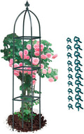 Garden Trellis for Climbing Plants Outdoor - Powder-Coated Steel 63 Metal Trellis Towering Plant Support - Heavy Duty Obelisk Trellis for Climbing Vine Vegetables &amp FlowersDeep Green