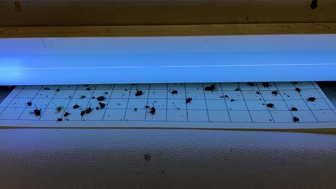 5x17 24 Pack Fly Light Insect Light Trap Replacement Glue Boards with 1 Grid
