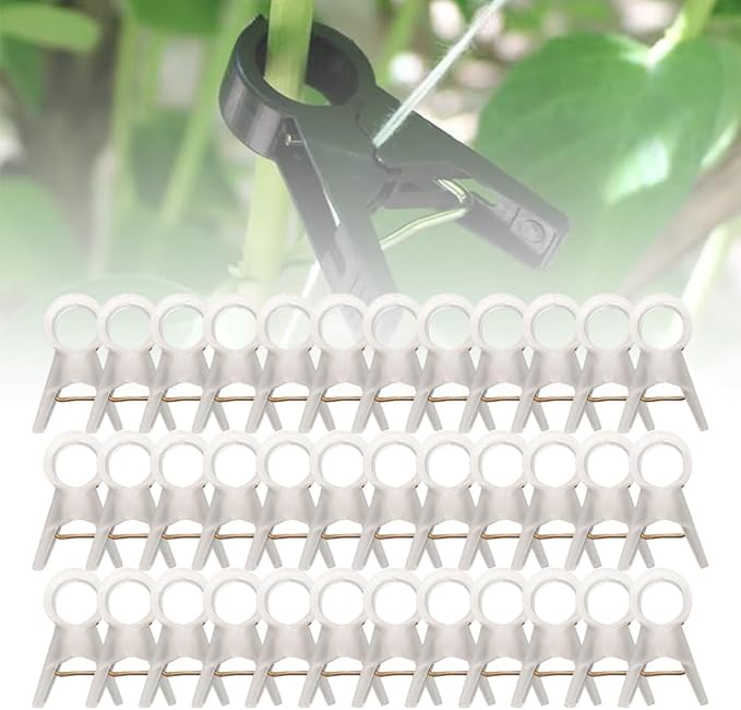 Plant Support Clips Secured Plastic Plant Clips Reusable Garden Trellis Clips for Climbing Plants Outdoors Tomato Grape Vine Vegetables Plant Support Fixing Clips (50 clear-3cm/1.2in)