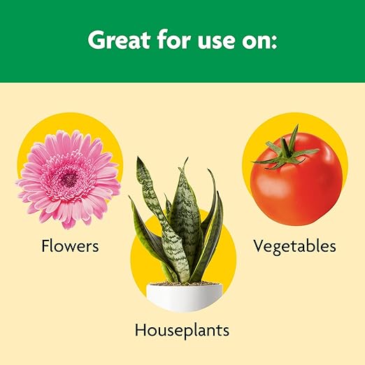 Miracle-Gro Shake 'N Feed All Purpose Plant Food - Outdoor and Indoor Plant Food for In-Ground and Containers Feeds for up to 3 Months 8 lbs. (Pack of 4)