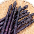 20 Purple Asparagus Roots - Bare Root Asparagus Crowns for Planting Perennial Vegetable Plants for Outdoor Garden