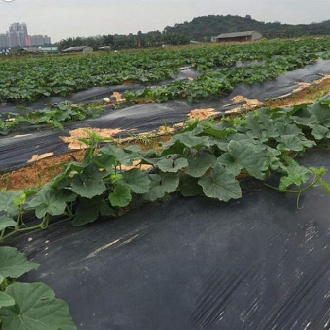20m Agriculture Black Weed Control Film 0.6~2m Thick 0.008mm Greenhouses Vegetable Planting Plastic Mulching Film1pcs (Size : Width 1.5m)