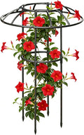 Garden Trellis | Rustproof Stable Vertical Climbing Vine Supports | Outdoor Flower Tower Framefor Vine Rose Clematis Vegetable Dragon Fruit Cucumber Hydrangeas Jasmine