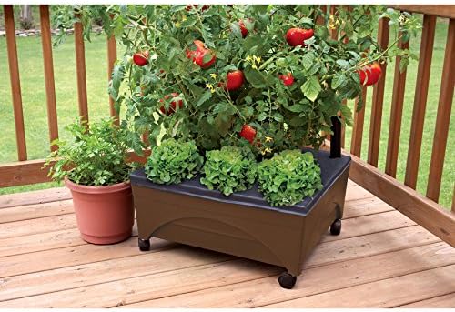 Emsco Group 2345 City Raised Bed Grow Box – Self Watering and Improved Aeration – Mobile Unit with Casters Picker Earth Brown