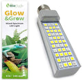 The Bio Dude 6 Glow &amp Grow Best Plant Growth Reptile &amp Amphibian LED Bulb for terrariums