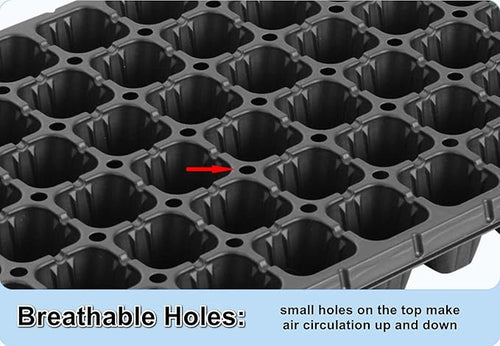 200 Cell Plug Tray 10pcs-Pack Thick Durable Seed Starter Flats Vegetable Fruit Seeds Seedling Plastic Plug Farmer Nursery Trays Propagation