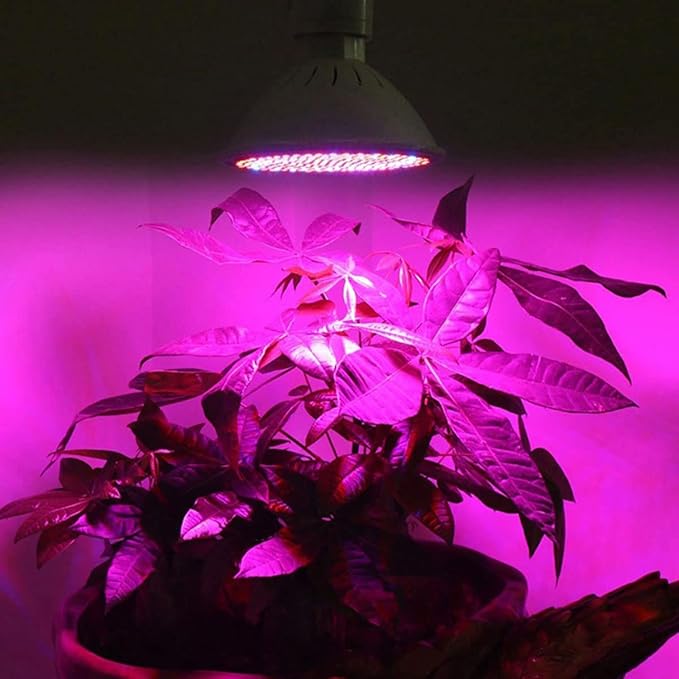 26W Full Spectrum LED Plant Grow Light Bulb 260 LED Lamp Beads E26 Base AC 85-265V LED Plant Light Bulb for Indoor Plants Vegetables Seedlings 4-Pack