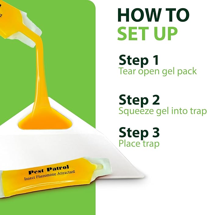 Greenway Pantry Patrol Traps Non-Toxic Pantry Moth and Insect Control Gel-Based for Flour Beetles Grain Storage and Kitchen Use 2 Packs (Includes 4 Traps and 4 Lures)