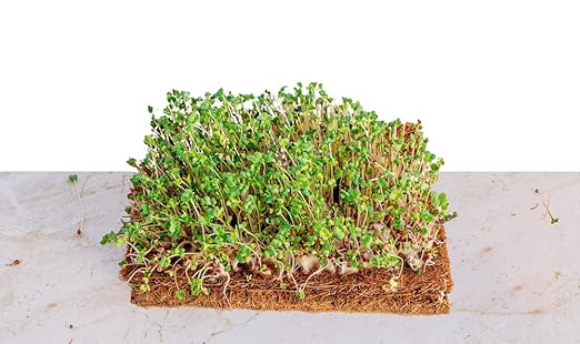 Envelor 4 ft. x 8 ft. Coconut Fiber Planter Liner EN-CGS-4x8-1