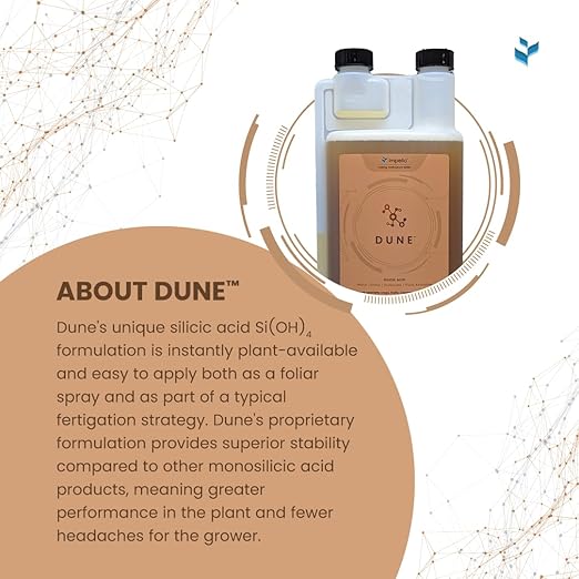 Dune - Bioavailable Silica for Plants – Strengthens Cell Walls Boosts Growth &amp Stress Resistance – Bigger Yields – Hydroponic &amp Soil Compatible - Medicinal Fruit Vegetable &amp Ornamental