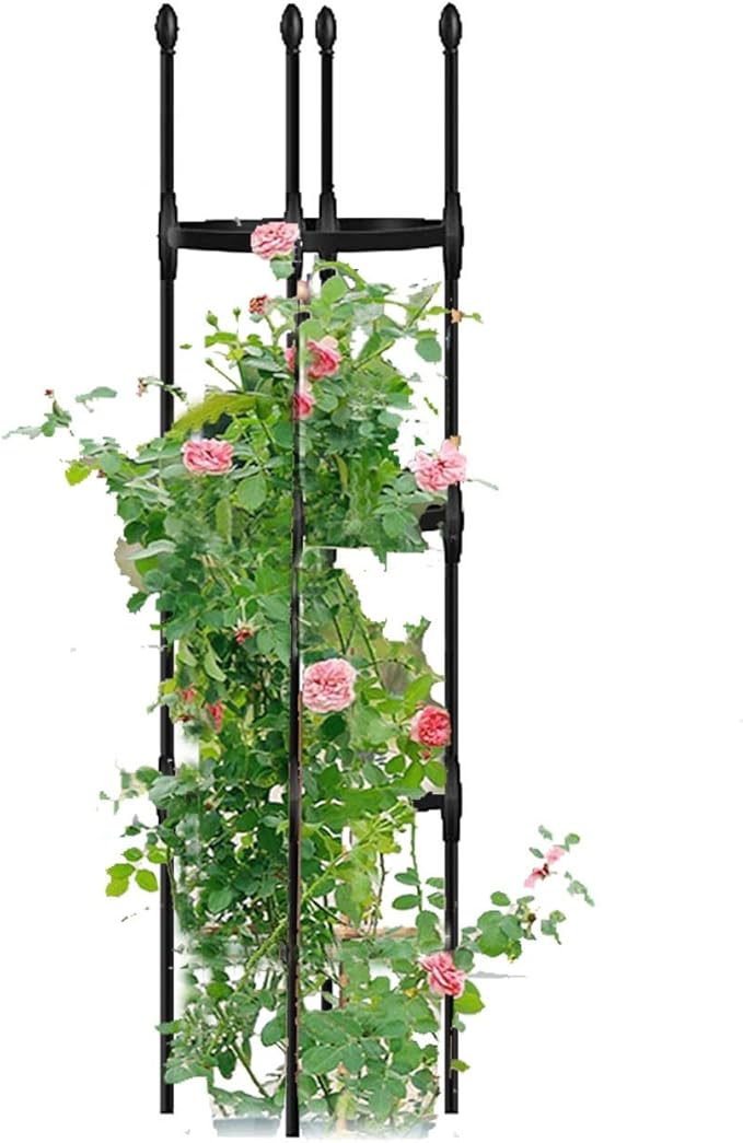 Garden TrellisStainless Steel Trellis for Climbing PlantsDiameter: 25cm/9.8in30cm/11.8in 35cm/13.8inAdjustable Rings Perfect for Tomatoes Vines and More1-Pack (Size : 13.8/35cm Dia. x49/12