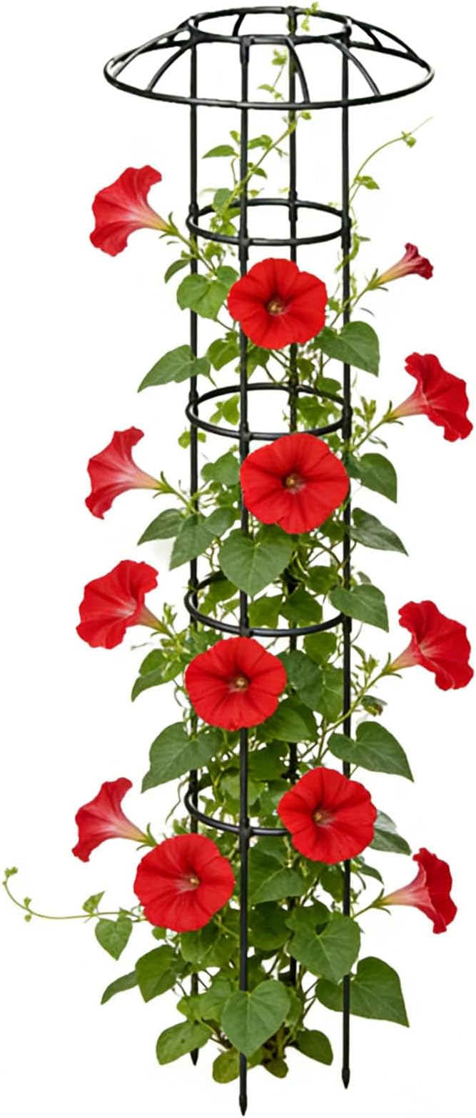 Umbrella TrellisDecorative Vertical Rustproof Stable Climbing Plants Support | Flower Mushroom Top Trellis | for Vine Rose Clematis Vegetable Dragon Fruit Cucumber Hydrangeas Jasmine