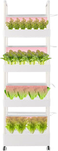Hydroponics Growing System with LED Growth Lights and Water Pump 4 Layers Hydroponic Vegetable Growing Kit 56 Sites for Fruits Vegetables Herbs