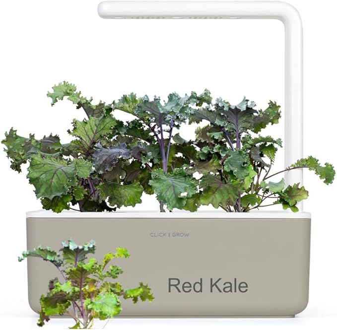 Click and Grow Smart Garden Asian Cuisine Plant Pod Mix 9-Pack