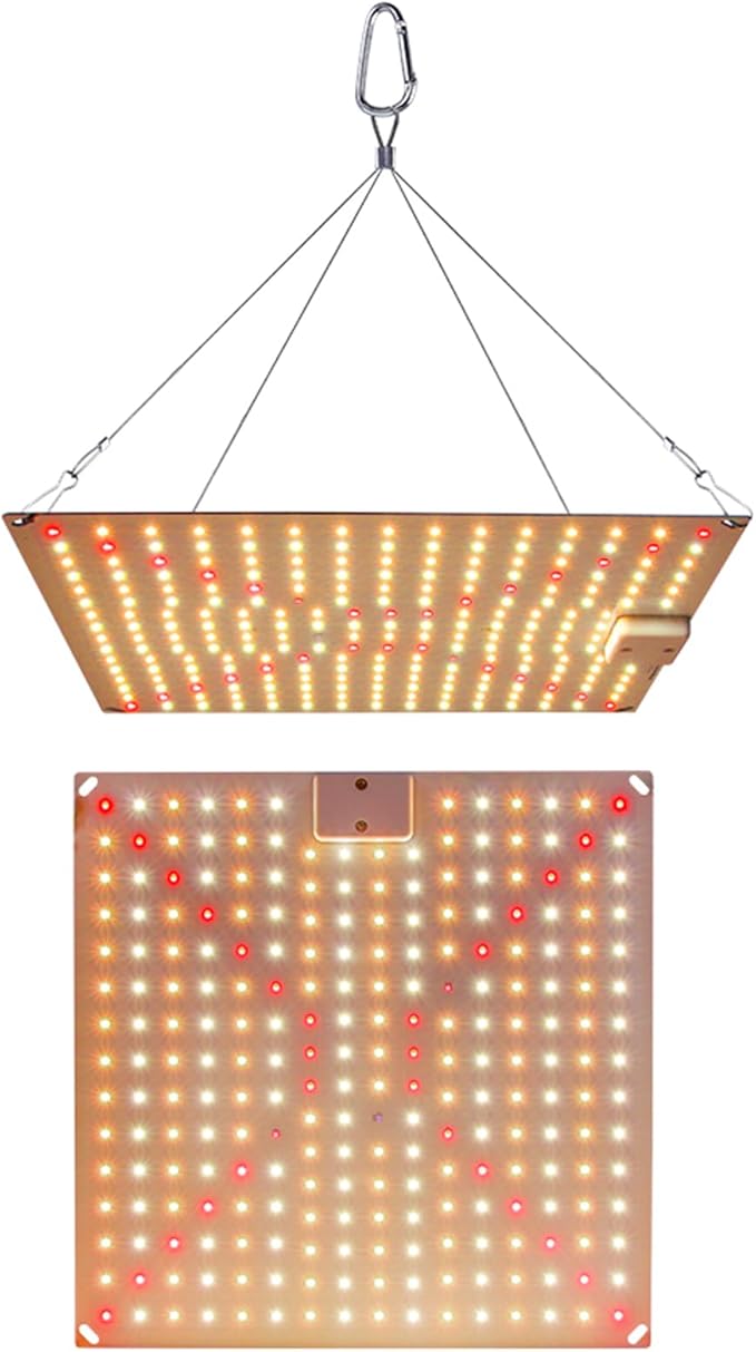 Pl Lamp LED Succulent Fill 50W Full Spectrum Pl Grow Quum Plate Greenhouse Greenhouse Nursery Plng