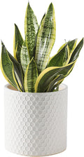 Docrin Ceramic Planters Indoor 8 Inch Plant Pot with Drainage Holes for Home/Office - White Honeycomb