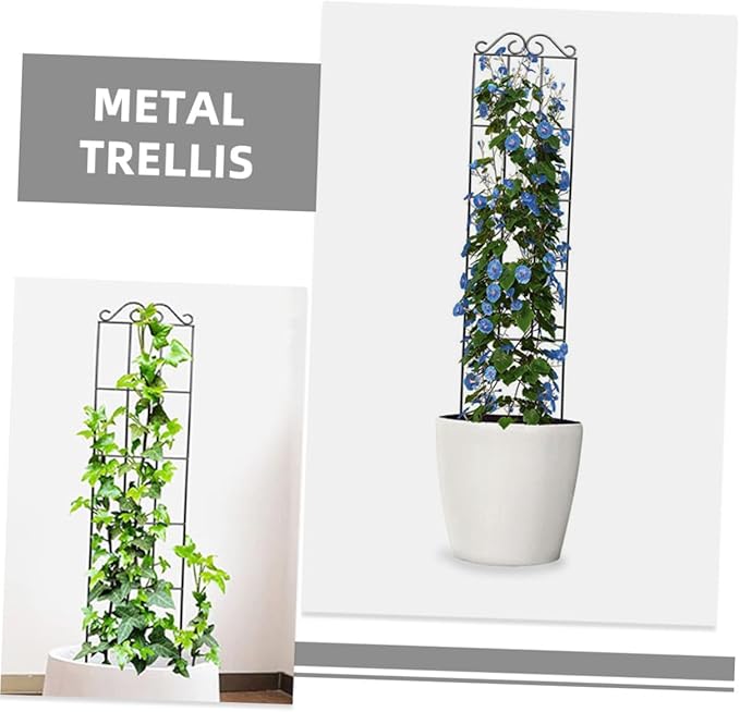 Beaupretty 4pcs Metal Plant Support Frames Climbing Trellis Garden Plant Fixed Rings for Indoor Outdoor Vines and Flowers 50x15cm Black Greenhouse Support