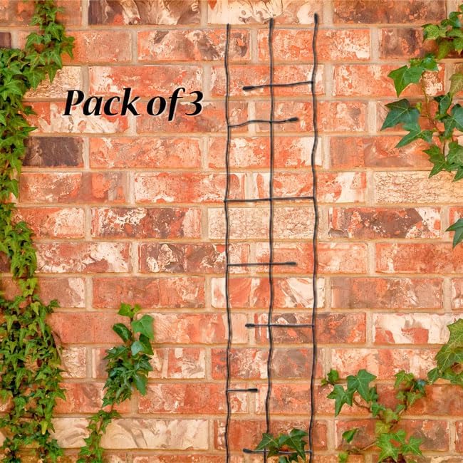 Panacea 89484 Black Forged Narrow Twig Trellises Pack of 3 – 72 H Metal Garden Trellises with Twisted Rod &amp Leaf Design – Durable Outdoor Plant Supports for Climbing Vines Flowers &amp Vegetab