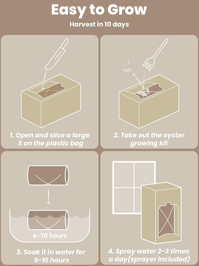 inbloom Organic Oyster Mushroom Growing Kit with Spray Harvest Fresh Mushrooms at Home Beginner Friendly &amp Easy to Use Unique Gardening Gift for Holiday Handmade in New Jersey USA
