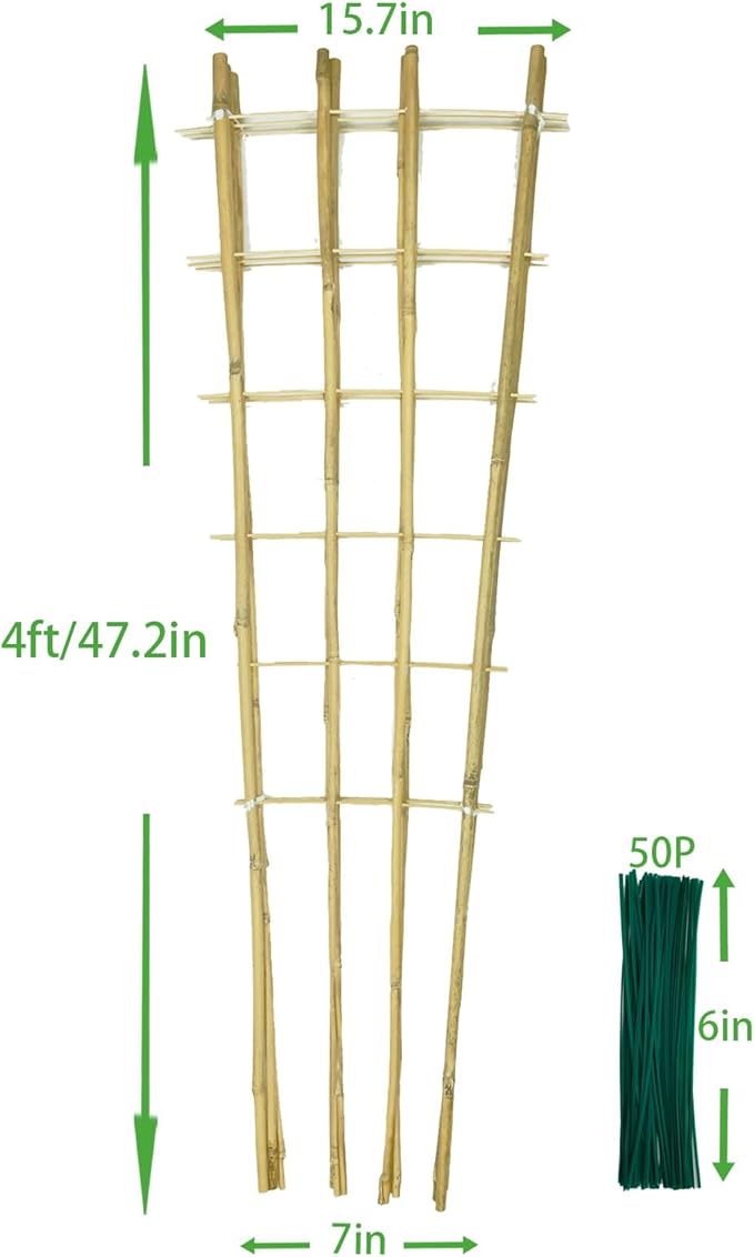 Natural Bamboo Trellis 4.8Feet3PackFan-Shaped Plant Support Trellis for Outdoor and Indoor Potted Climbing PlantsVegetables Cucumber Tomato Hoya