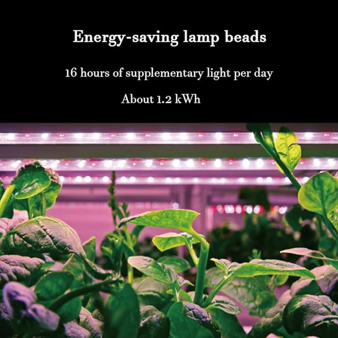 Vertical Indoor Garden with Grow Light Garden Hydroponics Growing System Kit Energy-Saving Two-Color Lamp Beads Automated Management for Vegetable Fruit Herb