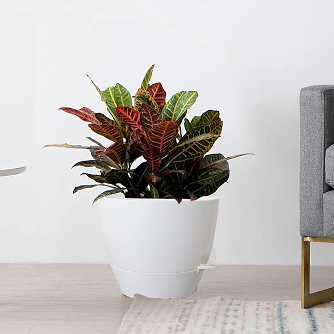 Large Self Watering Pots 12/10/9 Plastic Planters with High Drainage Holes and Deep Reservoir for Indoor Outdoor Garden Plants and Flowers White