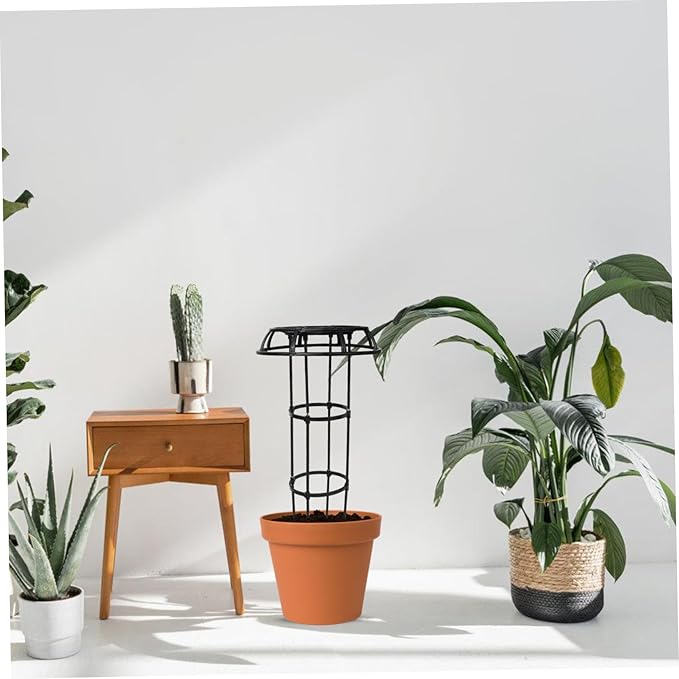 Plant Support Rack Garden Trellis for Climbing Plants Polished No Burrs