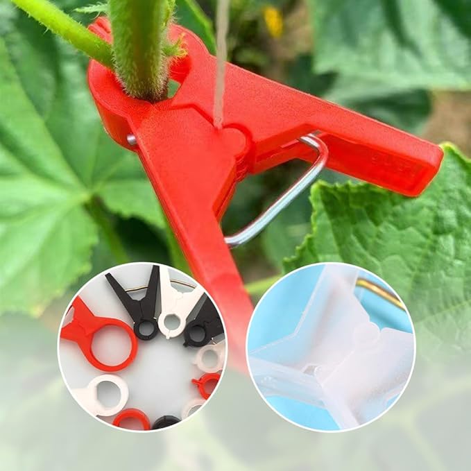 Plant Support Clips Secured Plastic Plant Clips Reusable Garden Trellis Clips for Climbing Plants Outdoors Tomato Grape Vine Vegetables Plant Support Fixing Clips (100 black-3cm/1.2in)