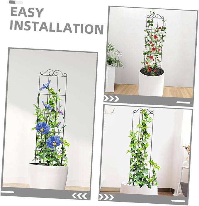 DOITOOL 4pcs Black Metal Climbing Plant Frame Trellis Garden Support for Potted Vines and Flowers 50x15cm Climbing Rack for Indoor and Outdoor Plant Growth