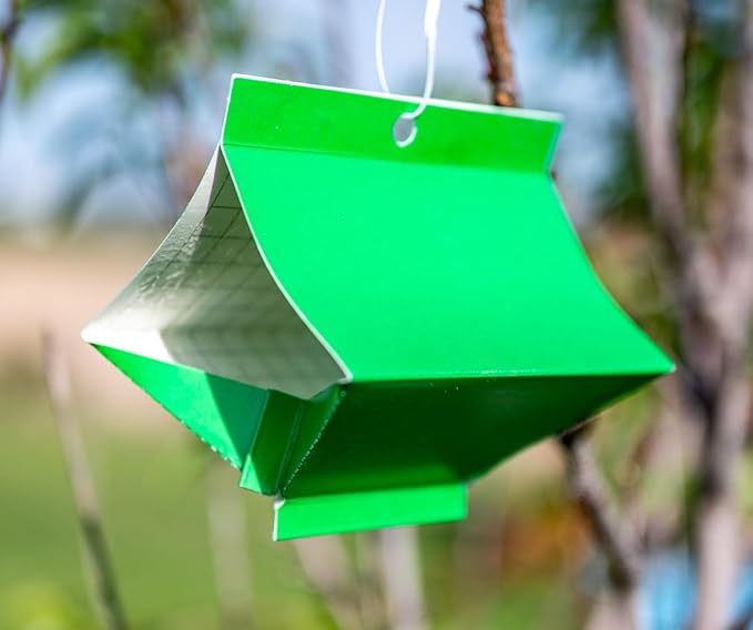 VivaTrap VT-106 Codling + Oriental Fruit Moth Trap &amp Lure (2 Pack 8 Week)